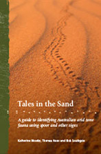 Tales in the Sand